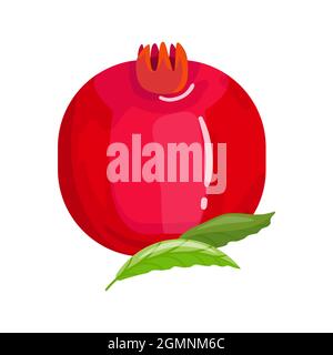 Pomegranate fruit is whole. Cartoon style. Vector illustration. Icon design isolated on white background. Stock Vector