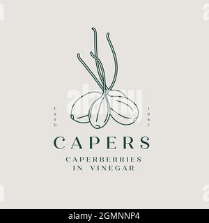 Vector illustration pickled capers - simple linear style. Logo composition with caperberries and typography. Stock Vector