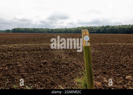 Public footpath sign on roundels with arrows on a white background mounted on a wooden post pointing straight ahead, left and right. Stock Photo