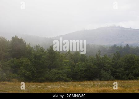 View of a hills and mountains from a observatory in dense fog. Dense coniferous forest. Stock Photo
