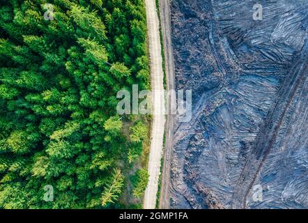 Construction site near forest, aerial shot Stock Photo