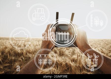 Man farmer standing in wheat field and controlling drone. Technologies in agriculture concept Stock Photo