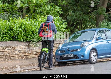 A male with a small dog in his backpack stopped to use his mobile phone, Christchurch road, Nothampton, Engand, UK Stock Photo