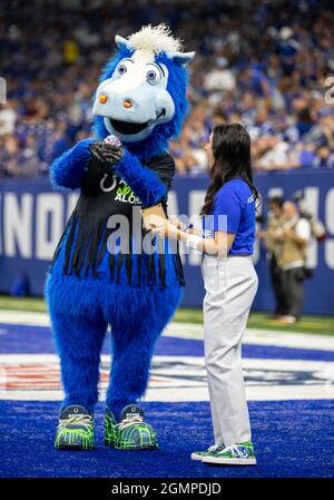 Indianapolis, Indiana, USA. 19th Sep, 2021. Los Angeles Rams quarterback  Matthew Stafford (9) during pregame of NFL football game action between the  Los Angeles Rams and the Indianapolis Colts at Lucas Oil