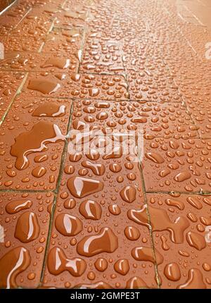 Raindrops on the outdoor floor. Stock Photo