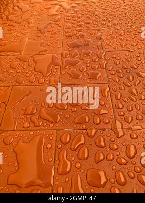 Raindrops on the outdoor floor. Stock Photo