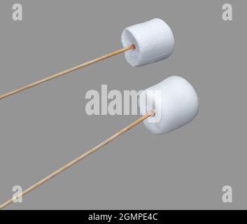 marshmallows put on a stick for toasting on a fire, isolated on gray background Stock Photo