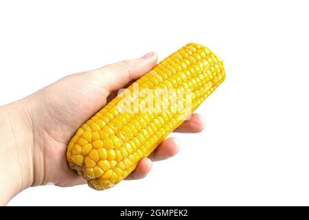 boiled corn in hand on white background Stock Photo