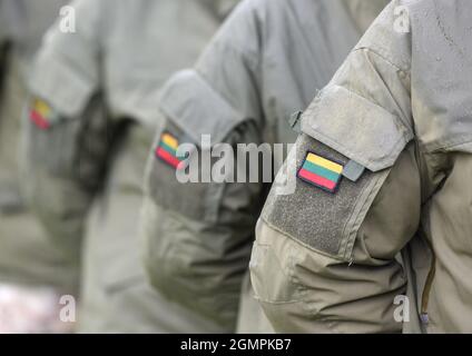 Lithuanian Armed Forces. Lithuania flag on soldiers arm. Lithuanian military uniform. Lithuania troops Stock Photo