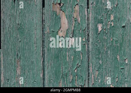 Closeup of old wooden vertical plank background. Aged dark green painted doors, fence. Weathered timber panels. Grunge textured backdrop. Rough Stock Photo