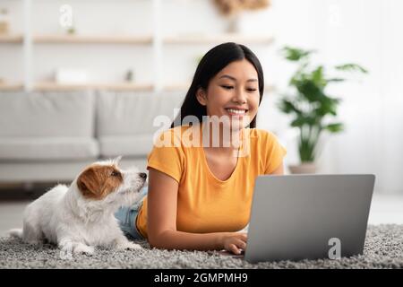 Loyal dog looking at its female owner using laptop Stock Photo