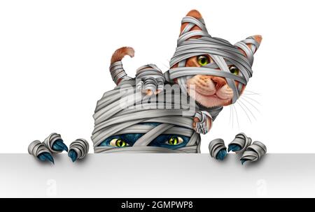 Kitten mummy Cut Out Stock Images & Pictures - Alamy