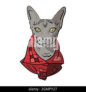 Hand-drawn Sphynx cat in a red shirt. Vector illustration. Stock Vector