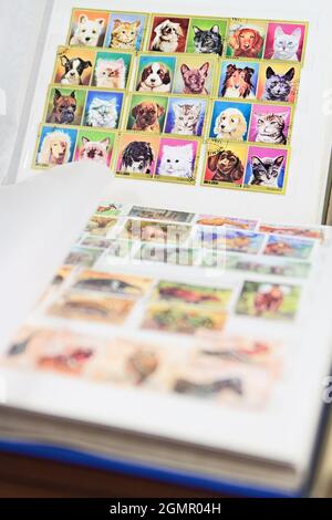 Albums with the postage stamps theme animals Stock Photo
