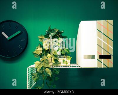 Interior view of a plant on the books and a clock hanging from a green wall Stock Photo