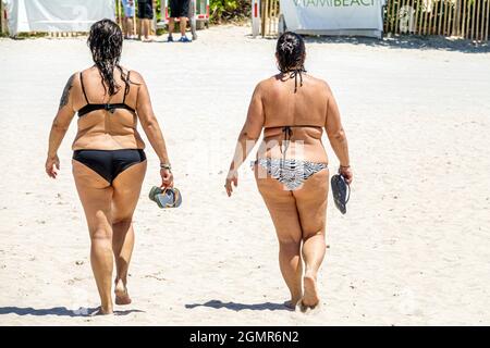 Miami Beach Florida,female women wearing bathing suits bikinis,overweight obese fat heavy walking friends Stock Photo