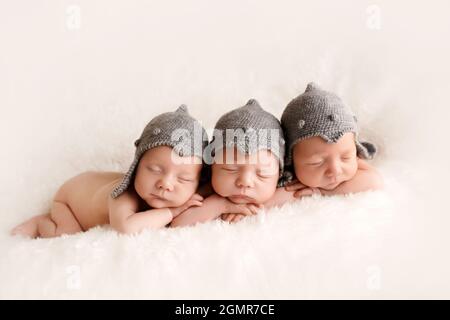 Triplet newborn boys in knights' hats. Stock Photo