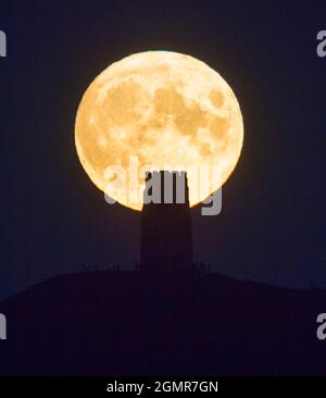 Glastonbury, Somerset, UK.  20th September 2021.  UK Weather.  The full Harvest Moon rises up into the clear night sky from behind St Michael’s Tower on Glastonbury Tor in Somerset.  Picture Credit: Graham Hunt/Alamy Live News Stock Photo