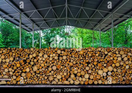 a pile of uncut firewood prepared for the winter under a large metal canopy Stock Photo