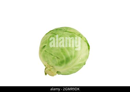 Cabbage isolated on white background with clipping path Stock Photo