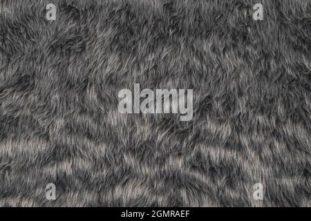Top view of fur texture background, grey fur pattern texture Stock Photo