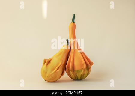 Two pumpkins lean on each other on light neutral background. Autumn concept. Front view Stock Photo