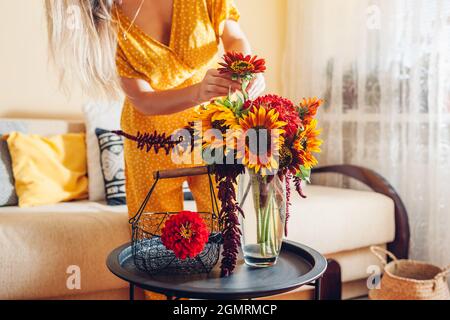 Close up of bouquet arrangement. Woman puts sunflowers and zinnias in vase on table at home. Fresh fall yellow red brown blooms. Interior and decor Stock Photo