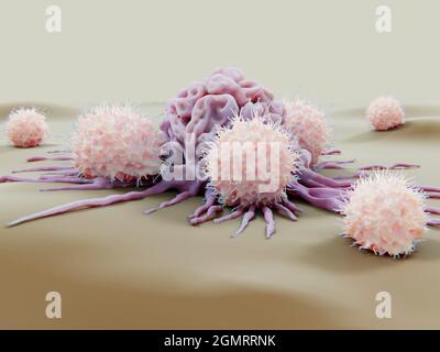 Natural killer cells attacking a cancer cell, illustration Stock Photo