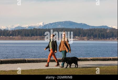 Men and women take their dog to a fitness park by a seashore. Middle age couple walk their dog in a park during autumn. Stock Photo