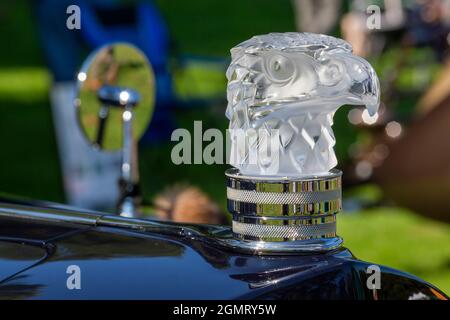 Grosse Pointe Shores, Michigan - The hood ornament of a 1938 Packard Super 8 sedan at the Eyes on Design auto show. This year's show featured primaril Stock Photo