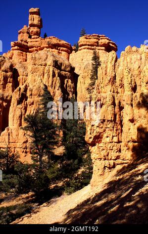 Red Canyon along Highway 12 near Bryce Canyon National Park, Dixie National Forest, Utah, USA, North America Stock Photo