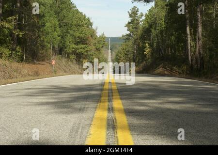 Deserted straight highway through fall trees Stock Photo