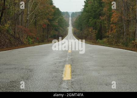 Deserted straight highway through fall trees in rain Stock Photo