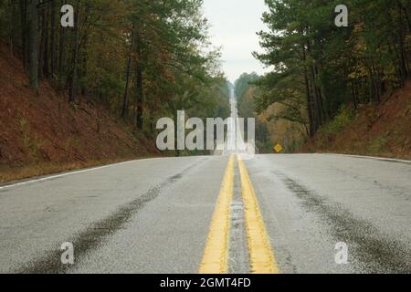 Deserted straight highway through fall trees in rain Stock Photo