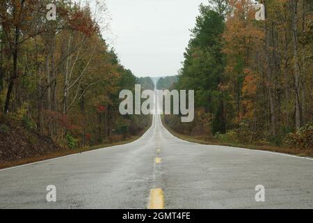 Deserted straight highway through fall trees in rain Stock Photo