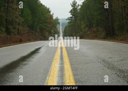 Deserted straight highway through fall trees in rain Stock Photo