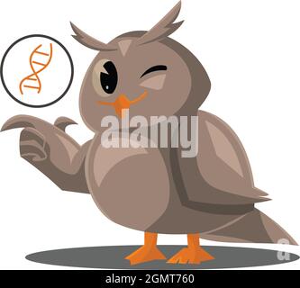 School owls. Color cute birds studying biology in school. Teaching education cartoon vector characters Stock Vector