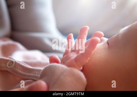 Close up of tiny newborn baby's fingers.  Stock Photo