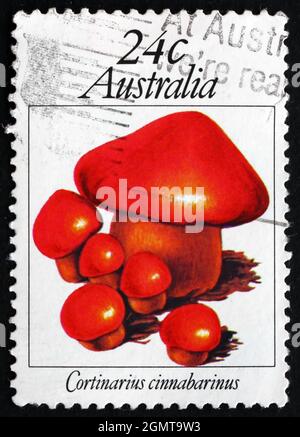AUSTRALIA - CIRCA 1981: a stamp printed in the Australia shows Cortinarius Cinnabarinus, Mushroom, circa 1981 Stock Photo