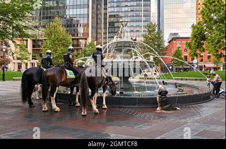 Berczy Park Claude Cormier CCxA Stock Photo