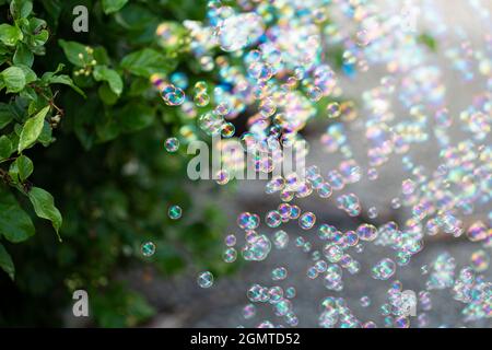 Hundreds of bubbles floating beside a plant. Selective focus points. Blurred background Stock Photo