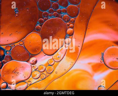 Green background whit red with blue abstract and dynamic bubble composition for web and posters Stock Photo