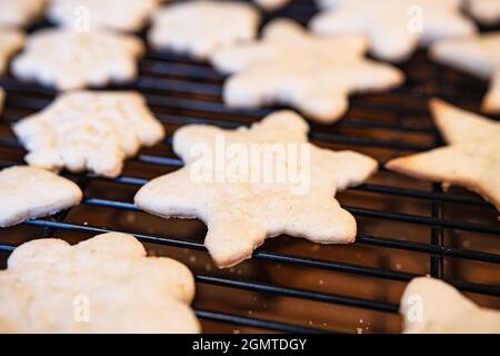 Shallow focus on undecorated sugar cookies cooking on a metal rack. Stock Photo