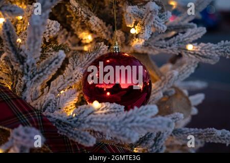 Single red ball ornament hanging on a flocked Christmas tree with white lights. Stock Photo