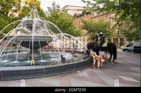 Berczy Park Claude Cormier CCxA Stock Photo