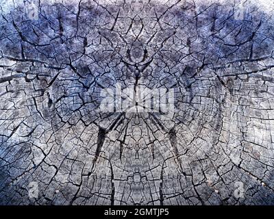 Lake Titicaca, Bolivia - 18 May 2018   This started off as an image showing a beautiful tree stump on Isla del Sol, Lake Titicaca.. But then I got adv Stock Photo