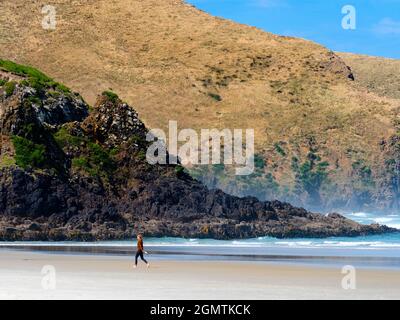 Otago, New Zealand South Island - 26 February 2019; one woman walking on the beach.     Allans Beach is beautiful, deserted and has cosmic surf levels Stock Photo