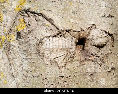 Radley Village, Oxfordshire, England - 22 April 2021; no people in view.     You can find abstract beauty or interesting shapes just about anywhere, i Stock Photo