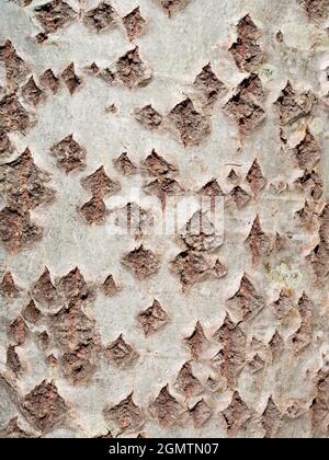 Radley Village, Oxfordshire, England - 22 April 2021; no people in view.     You can find abstract beauty or interesting shapes just about anywhere, i Stock Photo