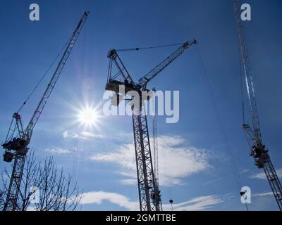 These mammoth cranes are all at work on 
